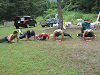 camp22 (248)_samu.gif